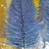 装飾的な花10pcs乾燥花保存天然植物新鮮な高山羊の歯クリスマス2023ノベルティ飾りハロウィーンパンパス