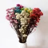 Decorative Flowers Real Millet Flower Ears Natural Dried Bedroom Living Room Kerst Decoration Bouquet Shooting Props Opening