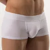 Onderbroek mannen bokser ondergoed katoen ademende boxershorts man lage taille u convex gay penis big pocket slipjes mannelijke stammen