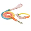 Set collari per cani in pelle PU colorati Guinzaglio per cani da compagnia Guinzaglio per cani di taglia piccola e media taglia Pitbull Bulldog Carlini Beagle Corda da passeggio per esterni