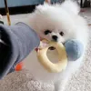 Jouets Boîte à bagues en peluche pour chien, jouet créatif, boîte à bagues en diamant, chiot, jouet en peluche, son mignon, cadeau pour enfants, jouet pour chien, accessoires pour chiens