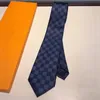 MENS TIE Luxury Slipsan Damier Quiltade slipsar Plaid Designer Tie Silk Black Blue White Red Gird Ties With Box