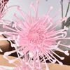 Dekorativa blommor Leucospermum Artificial Flower Short Branch Crab Crab Claw 3 gaffel Plantering Pincushion Home Simulation