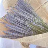 Dekorativa blommor 100g lavendel torkad blomma bröllopsdekoration tillbehör bukett boho hemrum dekor naturlig bevarad flores secas