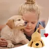 Toys Puppy Interactive Peluş Oyuncak Yumuşak Köpek Uyku Oyuncak Pet Molar Chew Oyuncak Anksiyete Rölyef ve Sakinleştirici Yardım Bebek Sevimli Kalp Atışı Davranış