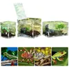 Terrariums Boîte d'élevage de Reptiles Terrarium d'insectes Transparent Respirant Enti's Acrylique assemblé araignée Scorpion boîte d'alimentation d'élevage