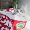 キャリア猫冬のテント面白い麺小犬のベッドハウス寝袋の猫用ぬいぐるみベッド家具アクセサリー