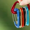 5 PCSCARABINERS 1PCSProfessionell klättring Carabiner Outdoor Camping Multi Tool Mountaineering Buckle D-Shape Safety Buckle Climbing Acessory P230420