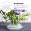 Dekorativa blommor Blomma Arrangemang Clear Container Ikebana grodor Rund potten Plast Pin Pin Holder