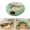 Kattbäddar Tunnelhus med avtagbar kudde Collapsible Cats Bed Interactive Ball Kitten Nest Crossing Tube Toy för små hundar