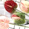 Decorative Flowers Single Branch 3D Simulation Anthurium Home Green Plants Potted Decoration Flower Arrangement Adhesive Tape Artificial