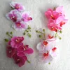 Fleurs décoratives 30 pièces de Mini branche de fleur d'orchidée obufferfly accessoires de bricolage en soie artificielle insertion de Guide de route en arc