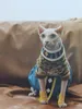 Haarlose Kostüme Katze Sphinx Kleidung Cosplay Drache Der Zerstörer Beerus Cape Schritt Hosen Anime Haustier Kostüm