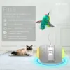 Toys Smart Interactive Cat Toy Lrregular Mode rotatif Touet Cats Funny Pet Game Electronic Cat Toy Light Light Feather Toys Kitty Balls