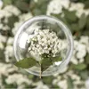 Dekorative Blumenkränze Gepresste Blume Für Harz Spiraea Vanhouttei Getrocknete DIY Telefonabdeckung Schmuck Canlde Soap Sammelalbum 24St