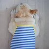 Odzież dla psa letnia kamizelka psów spódnica pudle bichon frise Schnauzer pug francuski buldog ubrania francuskie pies kostium odzieżowy odzież 230504