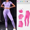 Yoga Outfit Pad Seamless Damen Yoga Set Kurzarm Crop Top T Shirt BH Squat Proof Leggings Sport Workout Outfit Fitness Wear Yoga Anzüge P230504