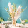 Decoratieve bloemen 1 Set Gedroogde bloem Natuurlijk Pampas Grass Riet Planten Home Decor Wedding Bouquet Phragmites Eucalyptusbladeren