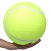 Giocattoli Interazione gonfiabile per il tennis Gioca a giocattoli per cani Palloncino giocattolo per animali domestici con palla grande da 24 cm