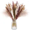 Декоративные цветы 120 шт. Высушенная пампас трава бохо декор натуральный пушистый для домашней ванной комнаты офис