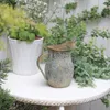 Decorações de jardim vaso rústico vaso chique rústico vintage galvanizado metal metal francês househhouse arremessador decorativo 230504