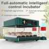 Fournitures pour petits animaux 9 15 incubateur d'oeufs avec type de tiroir Mini oeuf remplissage automatique du lit à eau ionique et contrôle de la température 230503