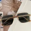 Ssunglass Ladies Designers Optische zonnebrillen GG0529 Fashion Classic Simple Cool Leisure Buiten Zonnebril UV400