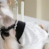 犬のアパレル犬服の女性犬ドレスサマーキャットスカートスカートコスチュームアパレルペット用品子犬チワワヨーキープードルビチョン服230504