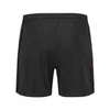 Herren-Shorts Sommerkleidung im Polar-Stil mit Strand aus reiner Baumwolle Lycra wd Designer-Shorts tn sandl vape ht6