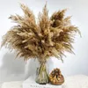 Fleurs décoratives 5pcs Herbe de pampa moelleuse naturelle séchée Bonquet Boho Décoration de maison de Noël Reed Phragmites Arrangement de décoration de mariage