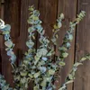 Dekorativa blommor heminredningar eukalyptus lämnar naturligt torkat brud som håller på att göra-det-själv jul dörr konstgjorda växter
