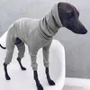 大型犬ニットグレイハウンドの服を供給します