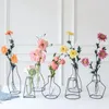 Вазы черная железная линия ваза цветочные ремесла растительные горшки розовые металлические держатель с нордическим стилем домашний сад свадьба DIY