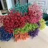 Fleurs décoratives 100g Herbe de cristal naturel Bouquets de fleurs éternelles Arrangement de la Saint-Valentin pour le salon Décoration de Pâques Mariage