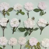 زهور زخرفية مضغوطة زهرة وردة بيضاء مجففة مع أوراق الجذعية العشبية لفن الأظافر مكياج المجوهر