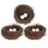 Party Decoration 3 Sets Simulation Eggs Home Items Birds Nests Decorations Bird Realistic Parrot Cage Decorate