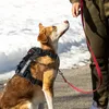 犬の襟のリーシュハーネスは、小さな大きなペットのためのリフレクティブ戦術ベストをプルしません屋外用品無料パッチ230503