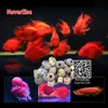 Akcesoria 750G Filtr Aquarium Media aktywowane pierścienie ceramiki węglowej Kulki Kulki Filtr Filtr Filtr Bio Bio Bille Akwarium Akwarium Akcesorium