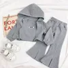 Kleidung Sets Kleinkind Mädchen Sport Herbst Hodded Jacke Crop Top Hosen Kinder Highj Qualität Kinder Großhandel 230504