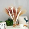 Flores decorativas chegadas misturadas pequenos pampas e palhetas decoração de Natal 2023 itens com 30pcs/lote