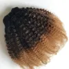 Brazilian Afro Kinky Curly Human Hair Bundles 1B/4/27 Ombre Color Two Tone Honey Blonde Hair Weaves