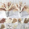 Faux Floral Verdure Plante Naturelle Séché Pampas Herbe Bouquet Boho Reed Fleur Scène De Mariage P o Shoot Ornements Thanksgiving Décoration De La Maison 230504