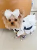 Hondenkleding Chihuahua kleding katjurk zomer huisdier kostuum kleding puppy Yorkie shih tzu maltese pomeraniaanse poedel bichon hondenkleding xxs 230504