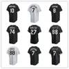 Custom Baseball Jerseys Men women Youth Kids 26 Korey Lee 15 Martin Maldonado 29 Paul DeJong 8 Nicky Lopez 10 Yoan Moncada 32 Gavin Sheets 17 Braden Shewmake