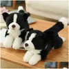 Poupées en peluche Simation Border Collie Chien Peluche Super Haute Qualité Hound Pour La Maison De Luxe Décor Pet Amant Cadeau D'anniversaire J220729 Dro Dhetd