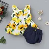 Set di abbigliamento 2023 Baby Summer Infant Kids 0-3Y Girl Floral 2Pcs Set Top Pantaloni arruffati Abiti colorati Abiti