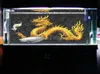Décorations Taille personnalisée Affiche de fond d'aquarium avec auto-adhésif Golden Dragon PVC Fish Tank Décoration Accessoires Paysage Papier peint