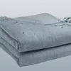 Одеальные нагревательные наборы одеяла Умный контроллер теплый теплый электрический тепловой двуспальный кровать Manta Electrica Paging Stembing Steam De50drt