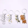 Keychains Shar Pei Dog Charm Key Kedjor för bilväska Vitt guldfärg Metall Zinklegering Sharpei Pendant Män kvinnor Keychain Ring Holder