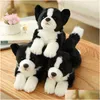 Dolls de pelúcia Simação border collie cão cão fofinho de alta qualidade cão de alta qualidade para decoração de luxo Decoração de casa amante de animais de aniversário presente j220729 Dro dhetd